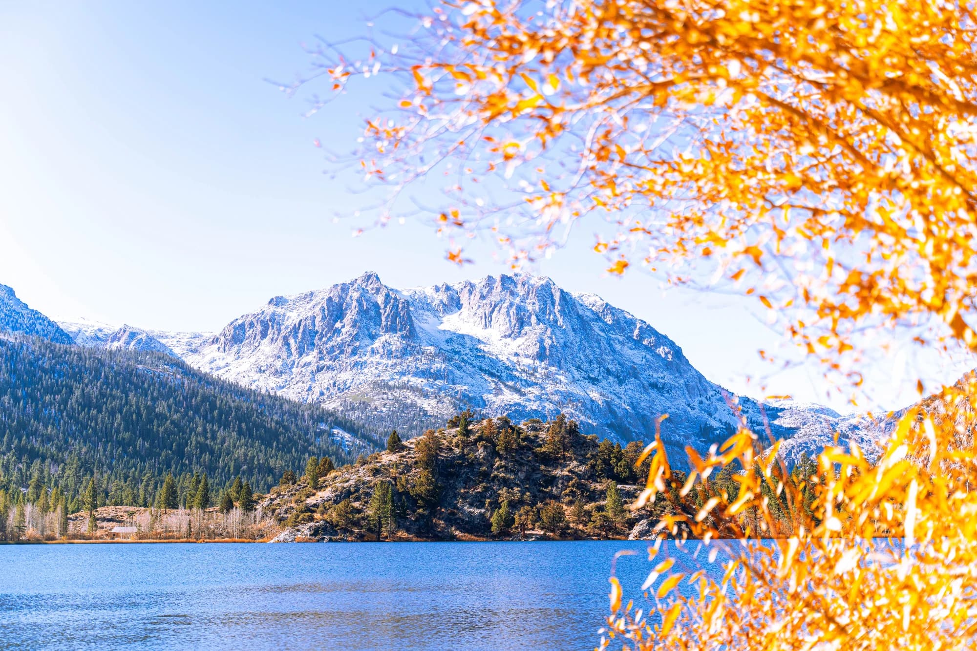 Snow-dusted peak above an alpine lake, framed by golden autumn leaves
