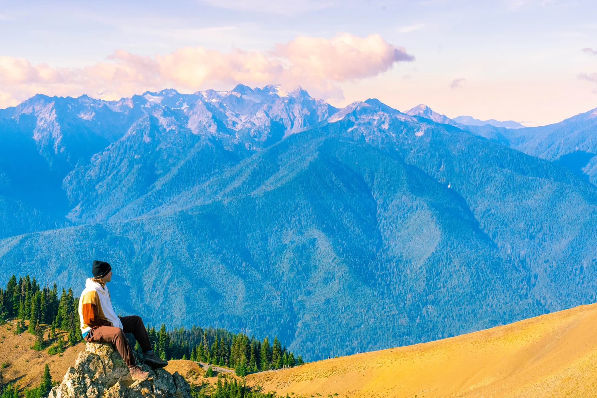 Cam sitting on a rock looking out at a glaciated mountain range